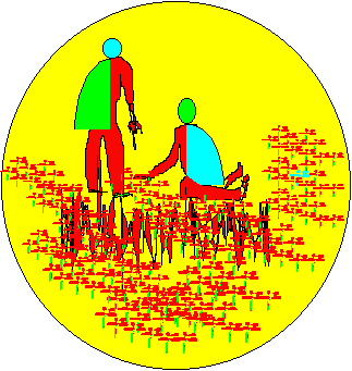 Cover: The rainbow country